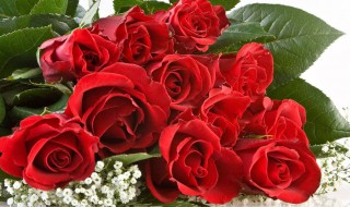 给客户送礼送什么好 给客户送礼送什么好而且实惠