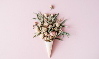 长辈生日送什么花（长辈生日送什么花?）