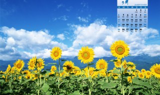 9月份的结婚黄道吉日（9月份的结婚黄道吉日是哪几天）