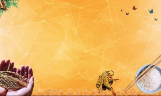 节约粮食我们要怎么做（节约粮食 我们应该怎么做）