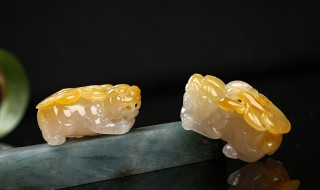 如何给貔貅开光（如何给貔貅开光头强）