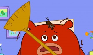 生蟑螂怎么灭（生蟑螂怎么灭蟑螂）