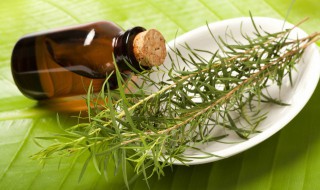 橄榄油的减肥方法 橄榄油怎么减肥方法