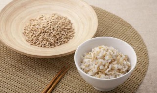 燕麦米煮烂的小妙招 燕麦米煮烂的小妙招视频