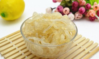 海蜇的折叠方法 海蜇的折叠方法视频
