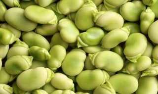 蚕豆冷冻保存的方法（蚕豆冷冻保存的方法是）