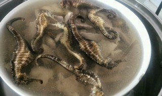 海马如何清洗 海马怎么清洗