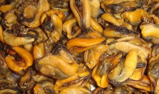 淡菜如何清洗（淡菜如何清洗干净）