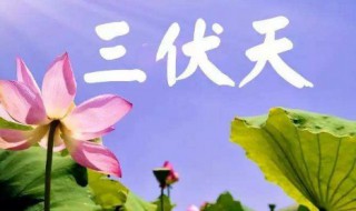 暑伏是什么时间开始的（暑伏是什么时间开始的2021几点）