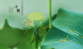 小暑的含义和由来 小暑的含义和由来图片