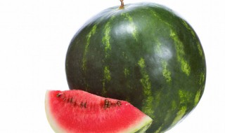迷你西瓜种植方法 迷你西瓜盆栽种植方法
