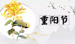 重阳节发朋友圈的精美句子 重阳节发朋友圈的精美短句