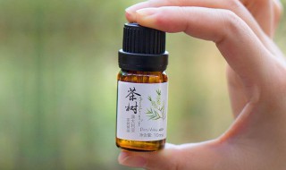 茶树精油的作用和功效（澳洲茶树精油的作用和功效）