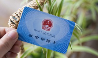 社保怎么网上缴费（单位社保怎么网上缴费）