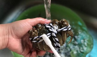如何清洗大闸蟹（如何清洗大闸蟹才干净）