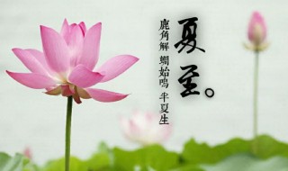 夏至什么时候（夏至什么时候入伏）