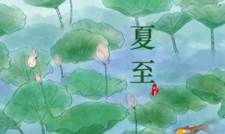 夏至后面的节气是什么 夏至之后的节气是
