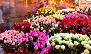 高铁可以带鲜花上去吗（高铁可以带鲜花上去吗多少钱）