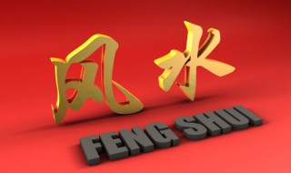 鹦哥鱼的风水学应用 鹦鹉鱼养几条风水好