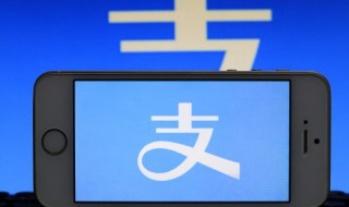 支付宝上怎么弄金色健康码（支付宝怎么看金色健康码）