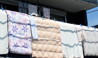 棉被晒太阳多久合适（棉被应在太阳底下晒多久好）