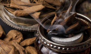 老鼠尿味怎么去除太难闻了（老鼠尿味怎么去除太难闻了呢）