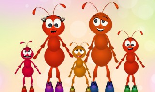 家里有大水蚁怎么处理（家里有大水蚁怎么处理好）