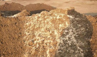 羊粪如何自然发酵 羊粪怎么发酵