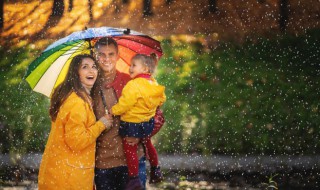 雨伞结构 雨伞结构简图