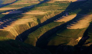 陇原是哪里 陇原是什么地方