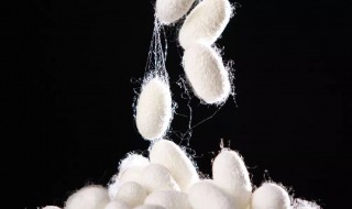 桑蚕丝往身上吸怎么办 桑蚕丝抽丝怎么办