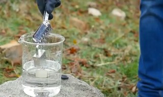 王水是什么东西（王水是什么东西做的）