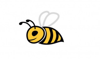 蜜蜂为什么会辨认方向的原因（蜜蜂为什么会分辨方向）