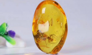 琥珀如何清洗 琥珀如何清洗变亮