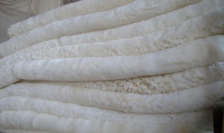 羊剪绒如何清洗（羊剪绒如何清洗保养）