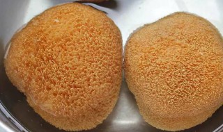 猴头菇如何清洗 猴头菇如何清洗不苦