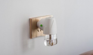 厕所蚊子的根治小妙招（处理蚊子的小妙招）