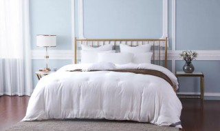 蚕丝被称为（蚕丝被称为锦衣华裳）