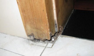 门框生虫是什么虫（门框生虫是什么虫子图片）