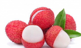 荔枝寓意（荔枝寓意吉祥词语）