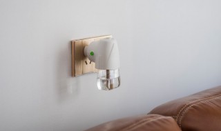 什么东西可以驱蚊 窗边放什么东西可以驱蚊