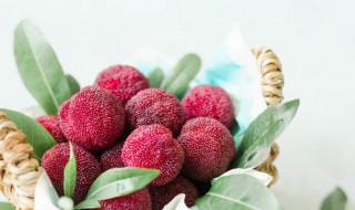 杨梅能放多久 杨梅能放多久不坏