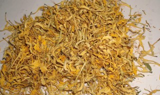 金银花怎样晒干不变黑（金银花怎样晒干不变黑呢）