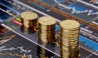 硬币后面的花分别是什么（硬币后面的花分别是什么为什么）