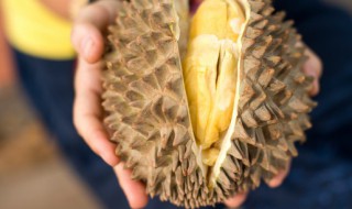 榴莲和什么放一起熟得快 榴莲与什么放一起熟得快