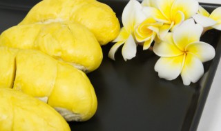 榴莲是什么口感 榴莲是什么口感的