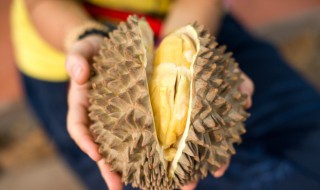 榴莲保质期（冷冻榴莲保质期）