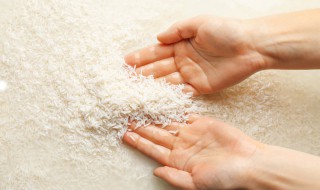 洗好的米不煮怎么保存 洗好的米不煮怎么保存不会坏