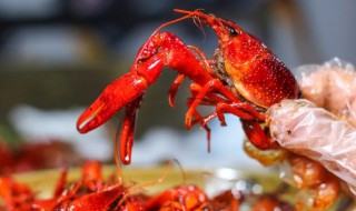 小龙虾放冰箱第二天能吃吗 小龙虾可以放冰箱第二天吃吗