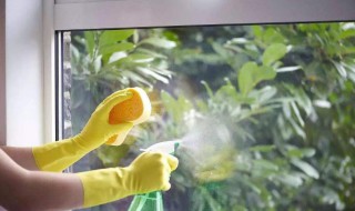 清洁剂的有效成分 清洁剂 成分